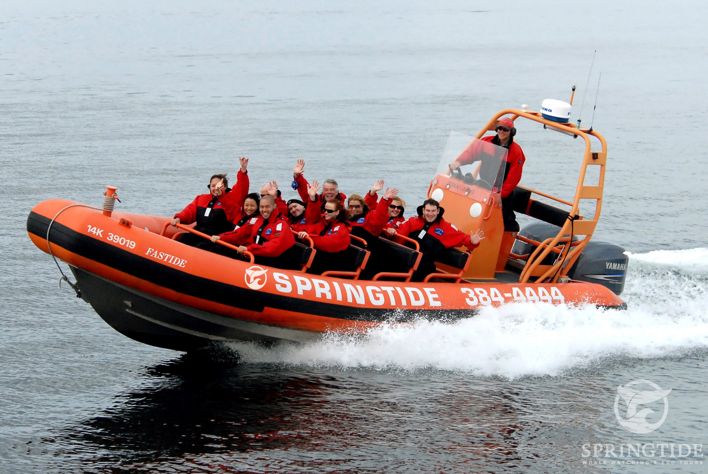 SpringTide Whale Watching & Eco Tours - Tourism Victoria