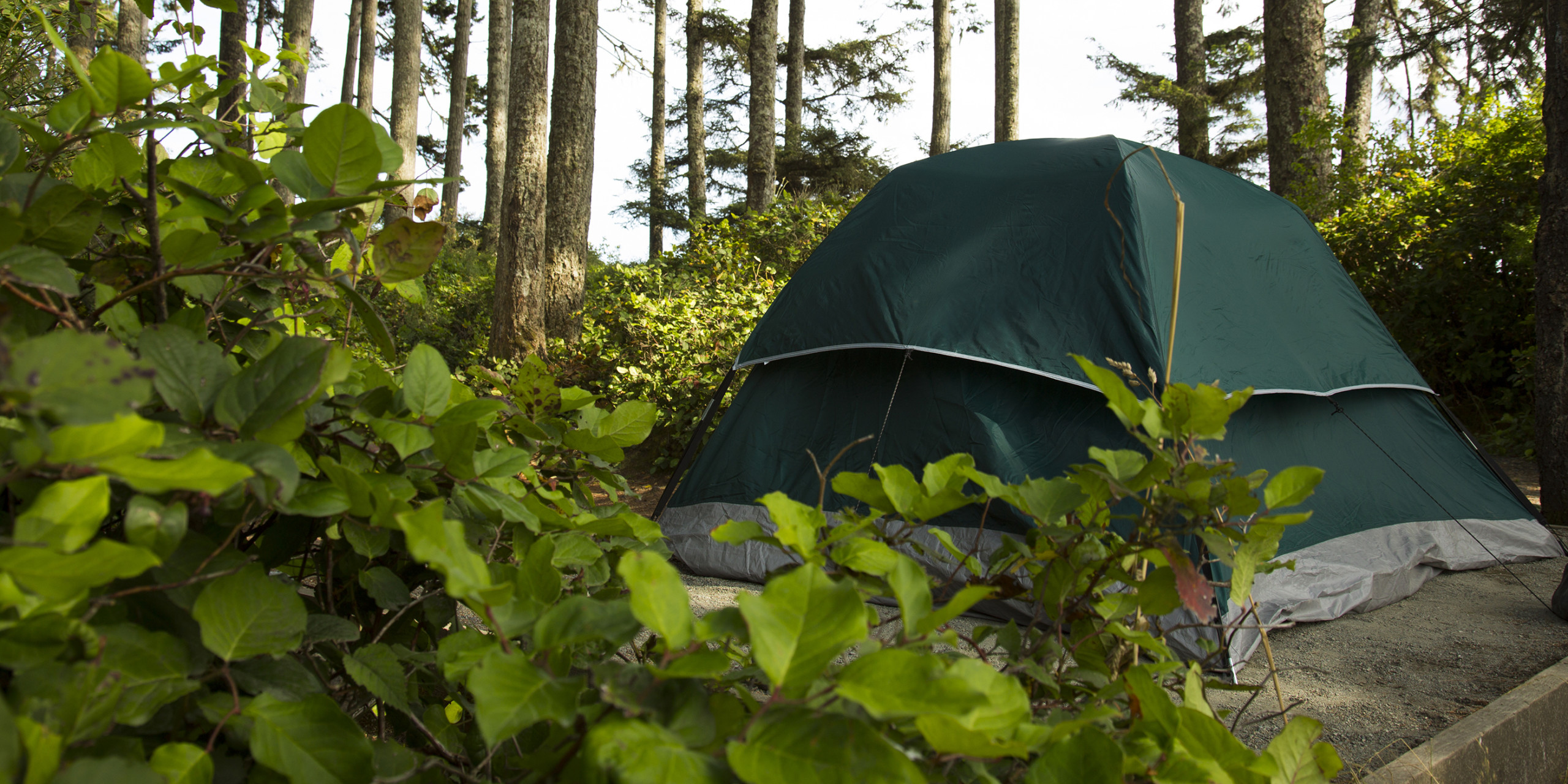 Jordan River Regional Park Campground photo 4