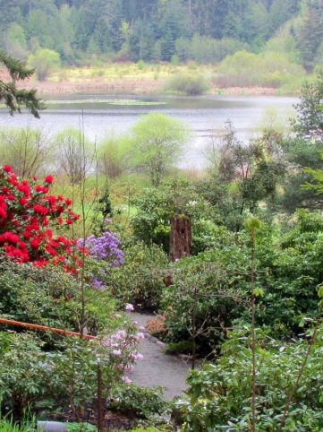 Takata Japanese Garden / Zen Garden - Horticulture Centre of the Pacific