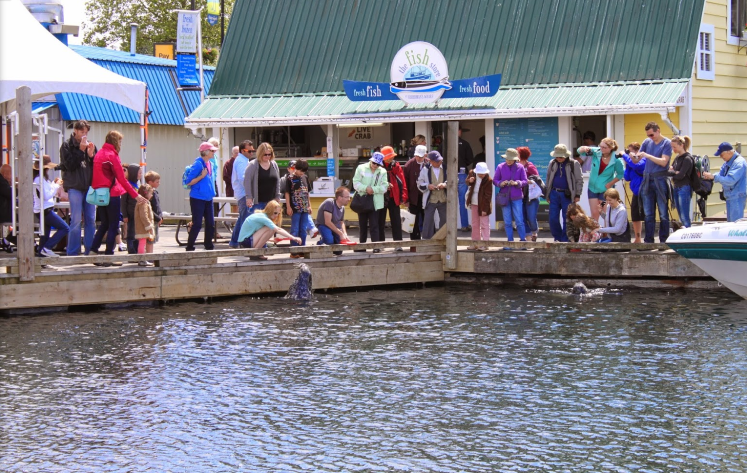 The Fish Store at Fishermans Wharf - Tourism Victoria