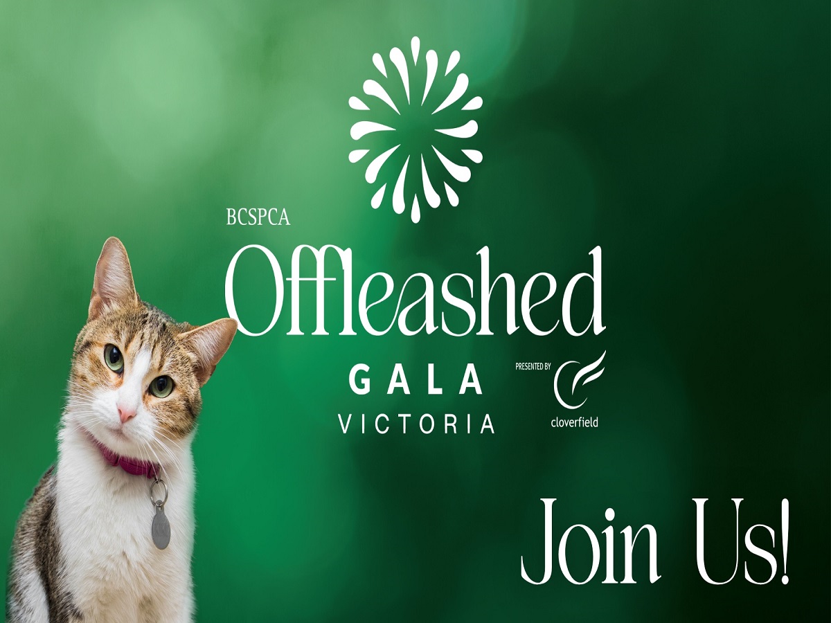BC SPCA Offleashed Victoria Gala - A Special Celebration