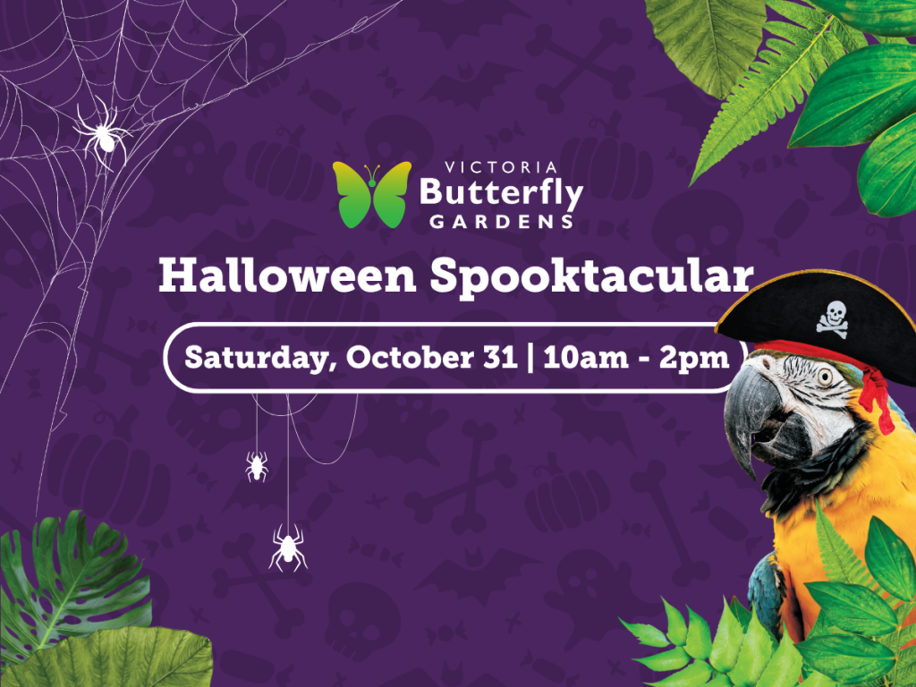 Halloween Spooktacular