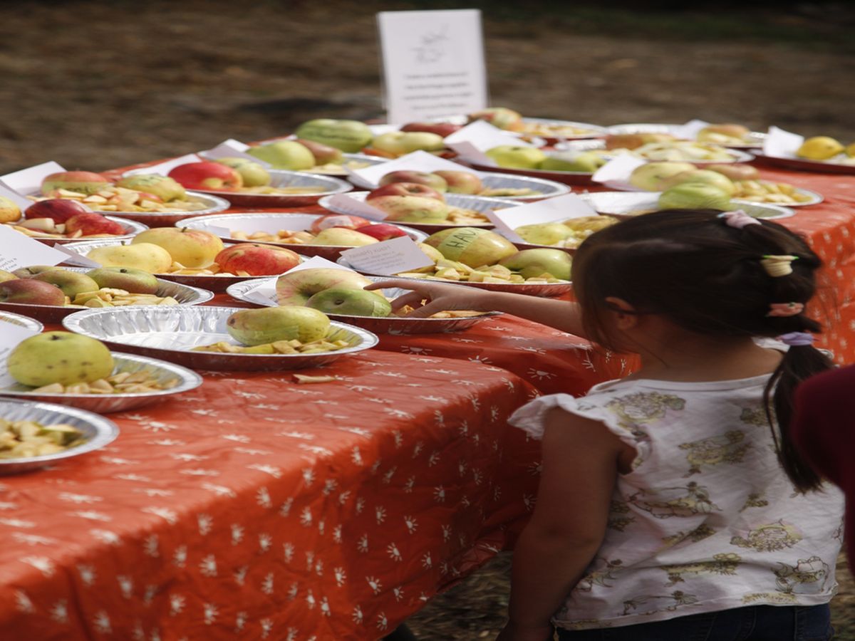 Community Sharing Day