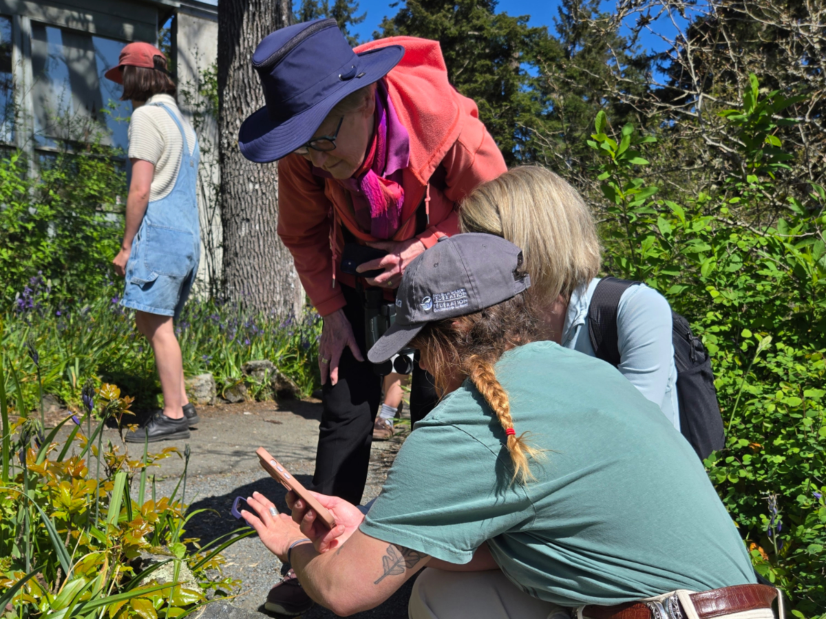The Great Canadian Bioblitz: iNaturalist at Night