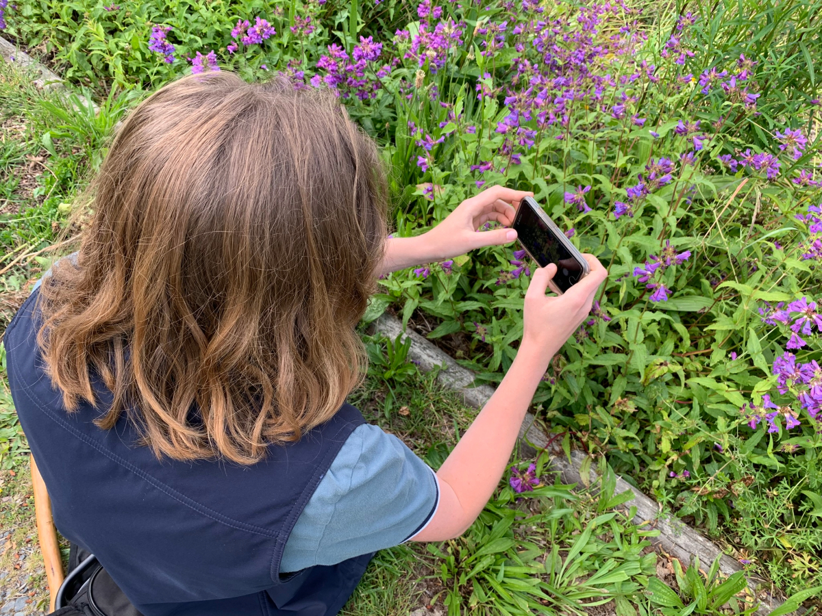 The Great Canadian Bioblitz: iNaturalist Family Challenge at Swan Lake