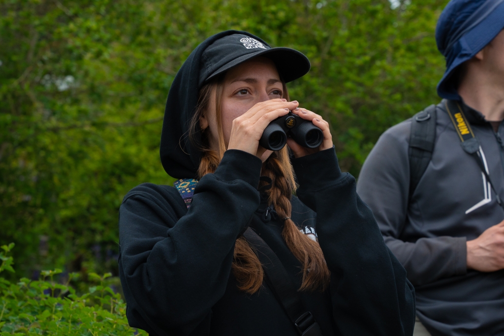 World Migratory Bird Day: Guided Bird Walk & Merlin + eBird Workshop