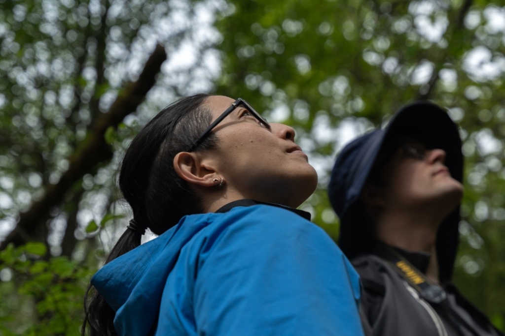 Forest Bathing at Swan Lake