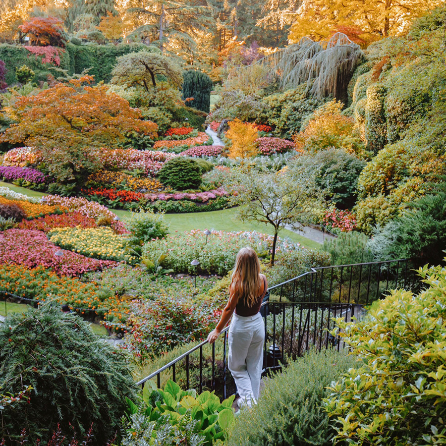 10 Reasons you need to visit Victoria, BC | Blog