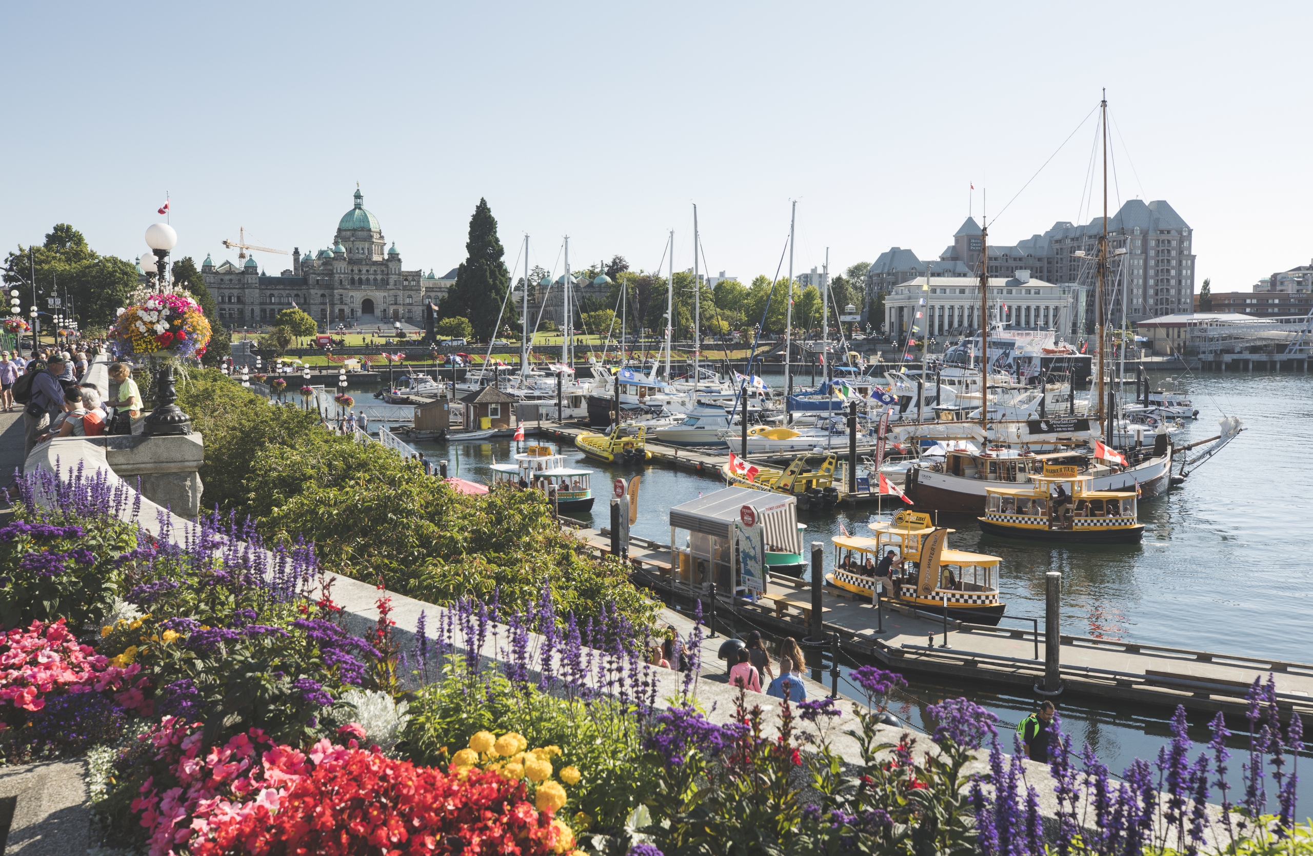 Things to do in Victoria, BC for first-time visitors | Blog