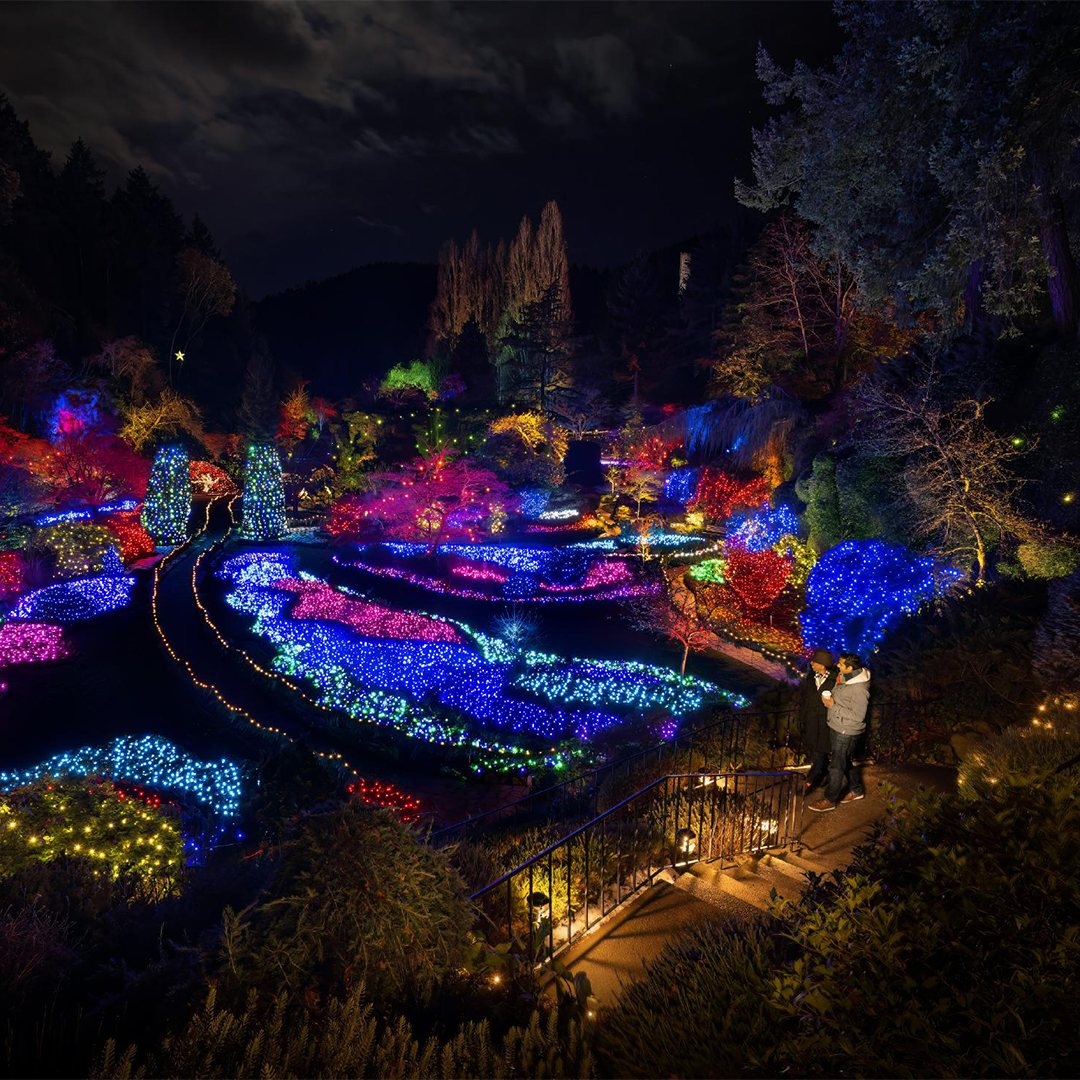 Things to do in Victoria this December | Tourism Victoria, image size:1080x1080