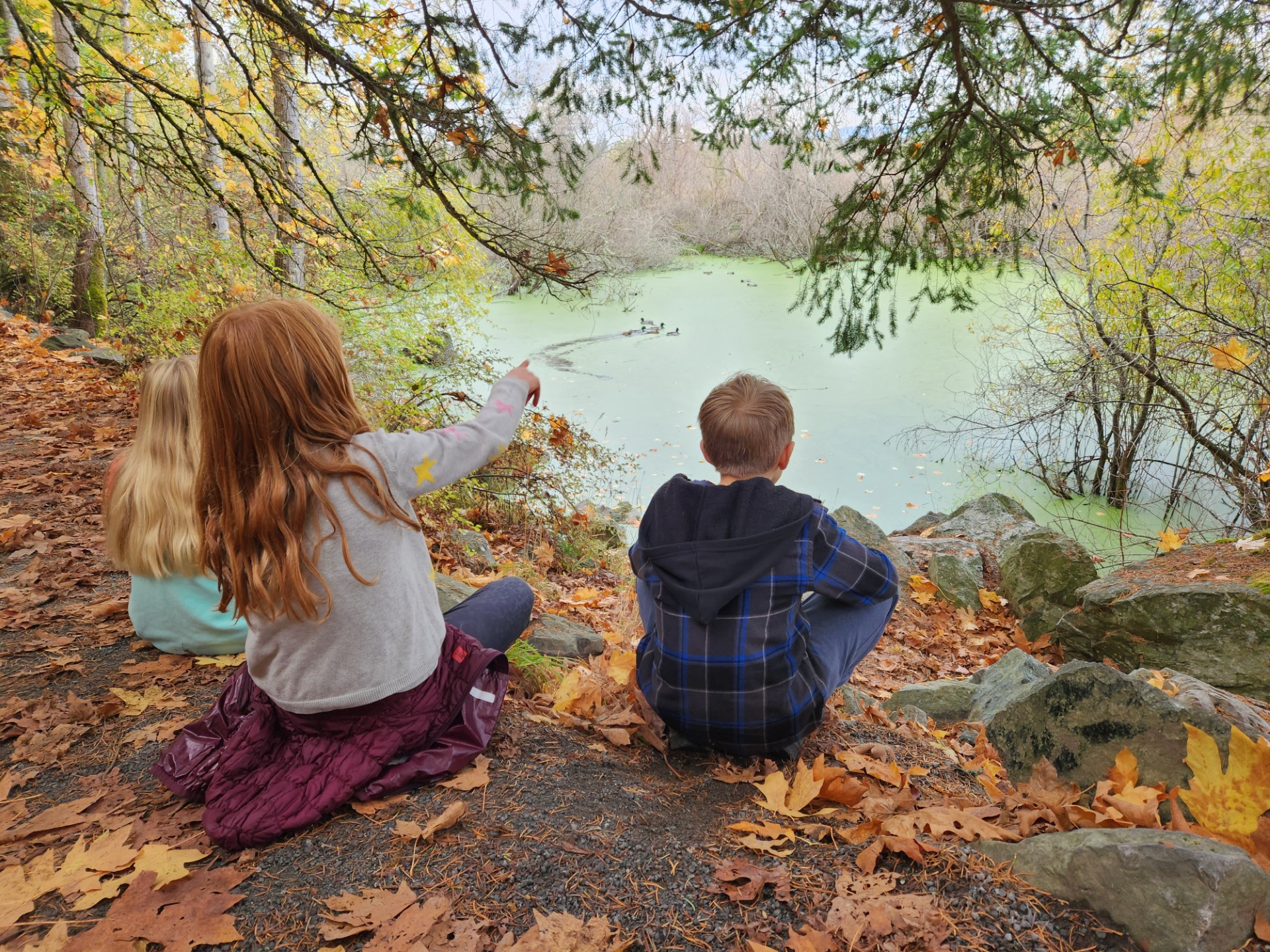 Fall Homeschool Science Series